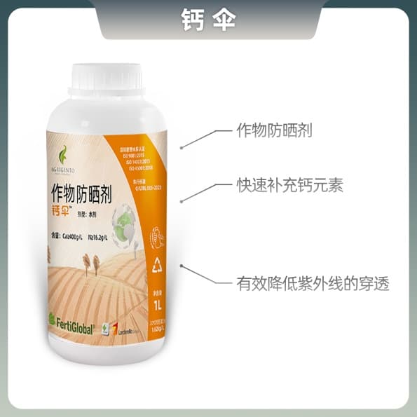 盖伞产品